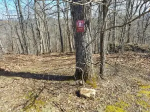 The Sandstone - A 3Br, 2BA Deluxe Log Cabin