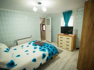 壯麗的5床房在Campulung Moldovenesc
