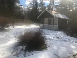 Paradiset Stugan I Fin Skogen