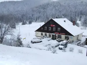 Domaine des Hauts Viaux