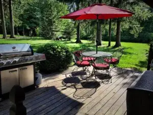 Pine Cottage Lakefront Hot Tub Fire Pit
