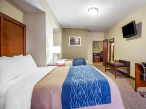 Comfort Inn & Suites Deadwood