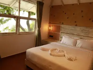 พาราดิซา เนเชอร์ รีสอร์ต