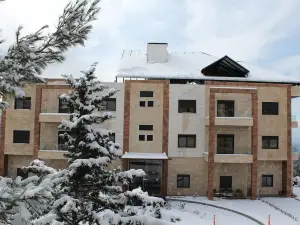 Hotel Miziara