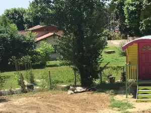 Une bouteille au canal