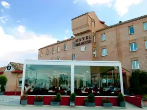 Hotel Palacios, Alfaro, La Rioja
