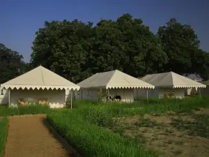 Kumbh Camp Om