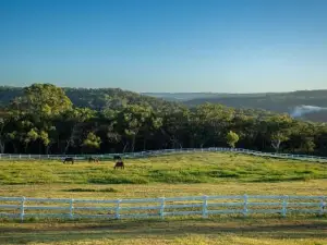 Equine Haven Trail by Tiny Away