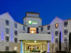 Holiday Inn Houston Downtown