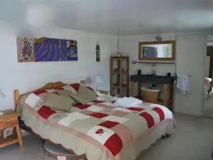 Les insolites de la bastide