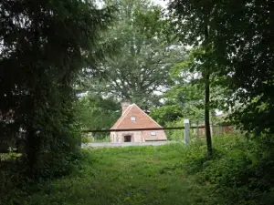 Moulin restauré Avec Charme, Proche étang et forêt, idéal Pour randonnées - FR-1-497-84