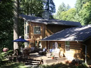 Log Home With A View