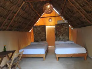 Casa Viva Mérida