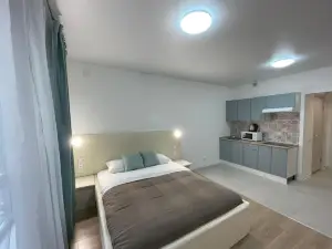 Apartment Hanaka Sosnovaya 5