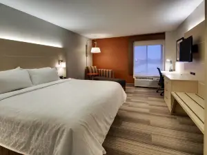 Holiday Inn Express & Suites Cedar Rapids-I-380 @ 33RD Ave