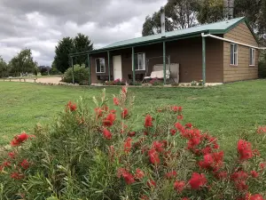 High Country Trail Rides & Farm Stay