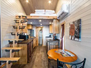 Tiny House Leadville Colorado