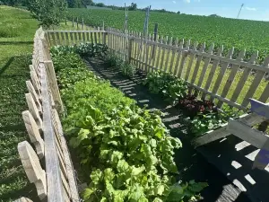 As Seen on HGTV - City Escape Ranch with Sauna, Gym & Soul-Soothing Vibes