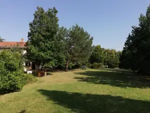 Vila Timok