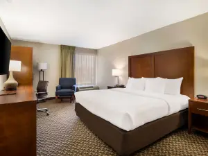 Comfort Inn Virginia Horse Center