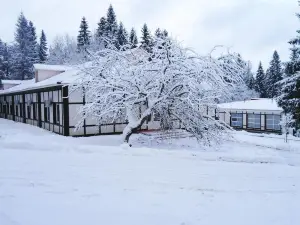 Lesnoy (Лесной парк-отель)