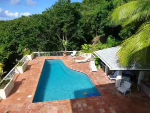 Sea Song Caribbean Villa