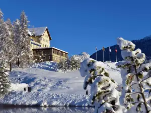 Hotel Waldhaus am See