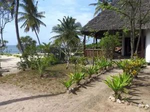 Baobab Beach Villa, Ushongo Beach, Pangani