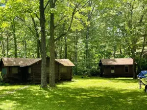 Lakefront cabins for family and friend gatherings