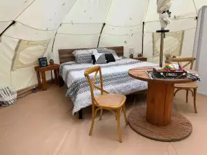 Glamping starglazing tent
