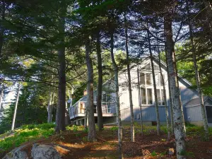 One-of-a-Kind Views! Private Seaside Sanctuary & Nature Lover's Paradise