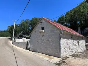 Aga
