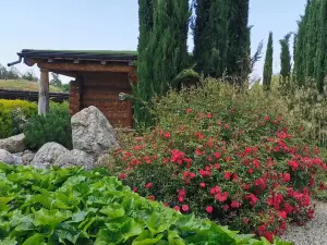 Les Chalets de Maramour