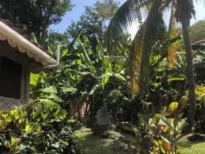 Petite Anse Hotel