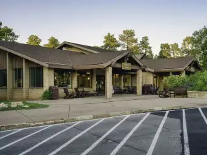 야바파이 로지 - 인사이드 더 파크