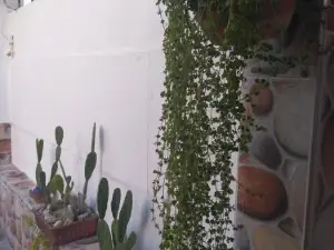 Habitacion Casa Las Aves