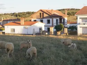 Apartamentos Estrellas de Monfragüe