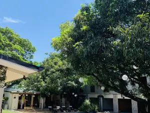Hotel Mango Airport