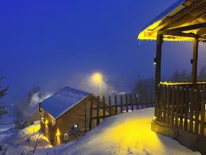 Ny Çambaşı