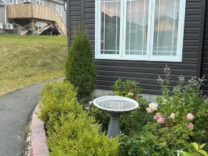 Charming small studio in adorable St. John's WiFi access, 2 twin beds, full bath