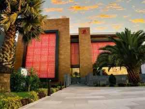 Hotel Passion Secrets Villas and Suites