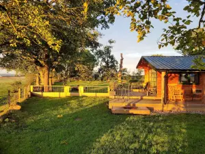 Cosy Wood Cabin in Rural Area Near National Park
