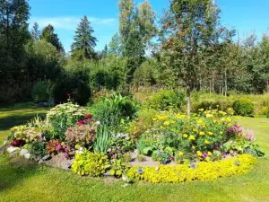 Lonni Nature Eco-Accommodation