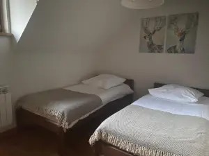 Modrzewiowy Zdroj