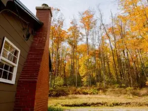 Salmon Creek Cabin - Allegheny National Forest