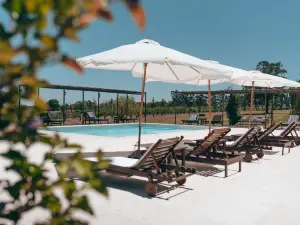 Finca del Sacramento