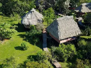 Cotton Tree Lodge
