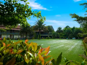 Fern Tree Resort