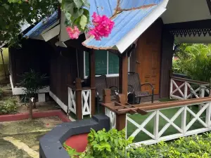 Coralview Bluestar Perhentian