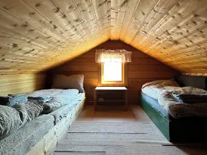 Cabin with northern lights & ocean view